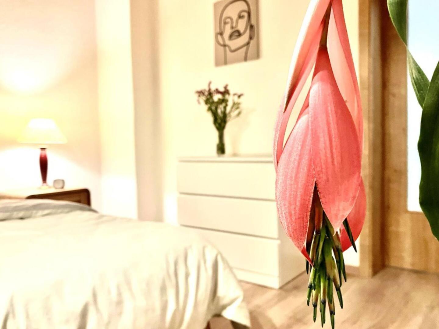 Quartier Planitz Apartment *